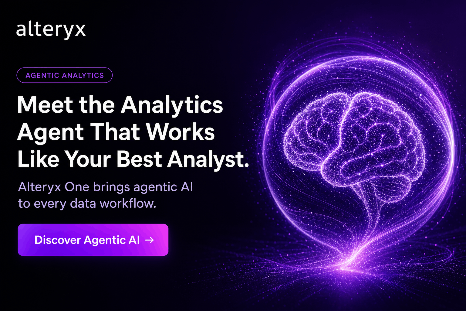 Meet the Analytics Agent